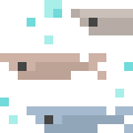 Trout