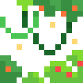 Jungle