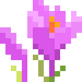 Saffron