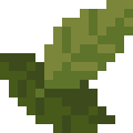 Bay Leaf