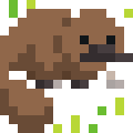 Platypus
