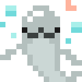 Finless Porpoise