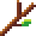 Branch