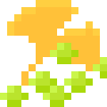 Ginkgo