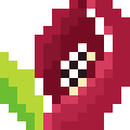 Skunk Cabbage