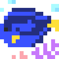 Blue Tang