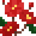 Camellia