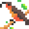 Norfolk Kaka
