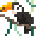 Giant Toucan
