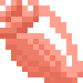 Hollow-Shelled Snail