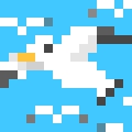 Seagull