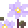 Twinleaf