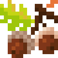 Acorn