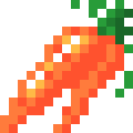 Carrot