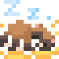 Raccoon