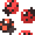 Ladybug