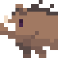 Wild Boar