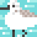 Dunlin