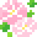 Sea Bindweed