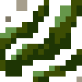Seaweed