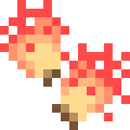 Sea Pineapple