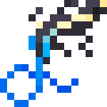 Blue-tailed Skink
