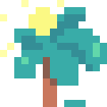 Star Fruit Tree