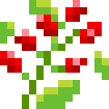 Rosehip