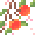 Peach