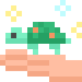 Turtle