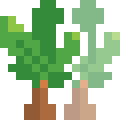 Palm Tree Model