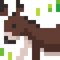 Wild Donkey