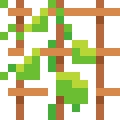 Plant Support