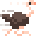Ostrich