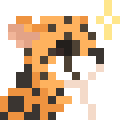 Cheetah