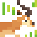 Impala