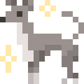 Greyhound