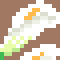 Calla