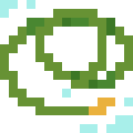 Water Hose
