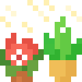 Flower Pots