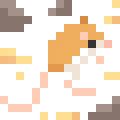 Kangaroo Rat