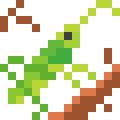 Grasshopper