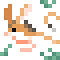 Long-eared Jerboa
