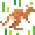 Kangaroo