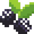 Blackberries