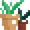 Flower Pots