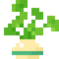 Round Plant