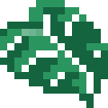 Philodendron