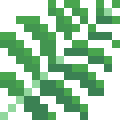 Fern