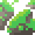 Moss